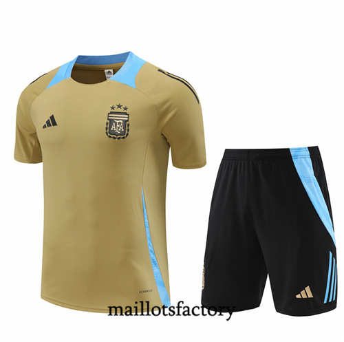 Grossiste Maillot du Argentine Enfant + Shorts 2024/25 Jaune