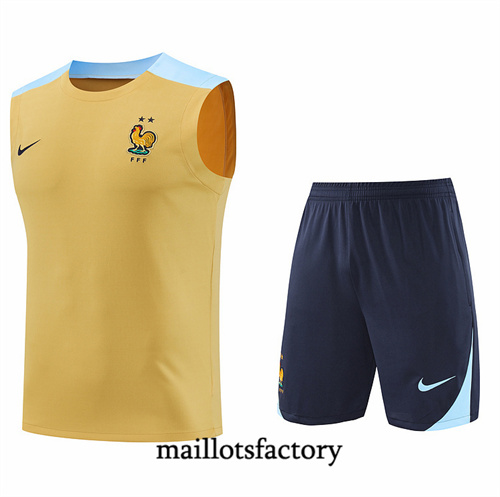 Achat Maillot du France Debardeur 2024/25 Jaune