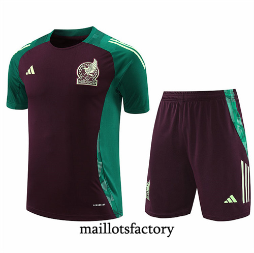 Site Maillot du Mexique + Shorts 2024/25 Brun